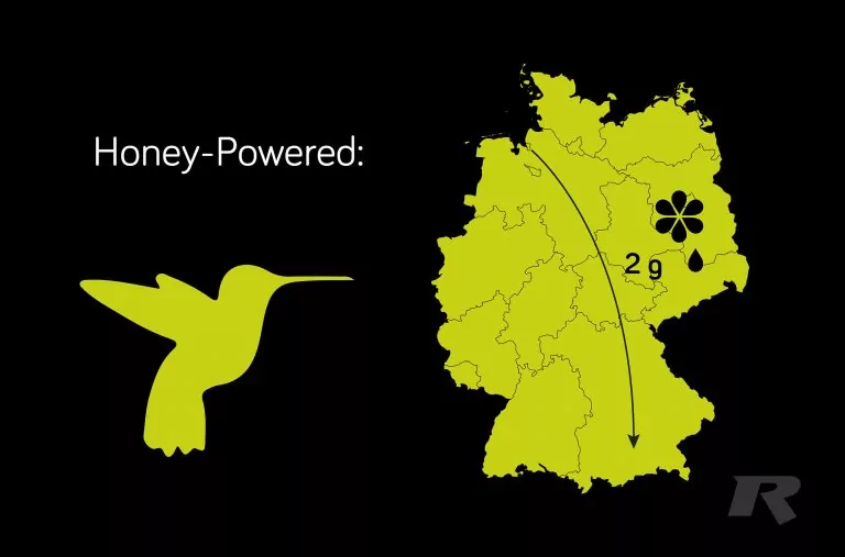 Energy saving motor - small and efficient